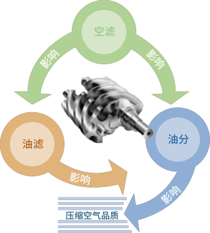 1-200F116492M42.png 1-200F116492M42.png